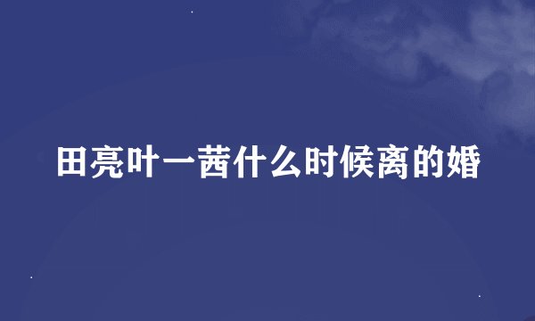 田亮叶一茜什么时候离的婚