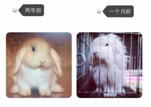 android手机上美图秀秀拷贝 猫头素材怎么下载