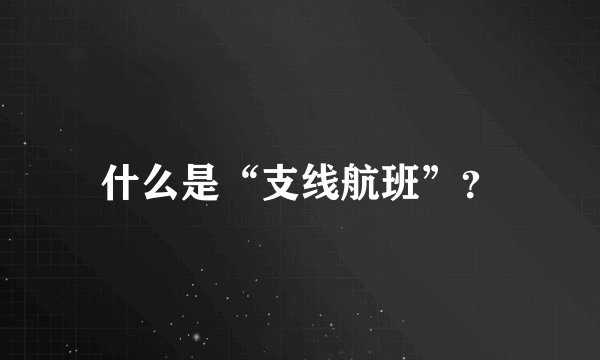 什么是“支线航班”？