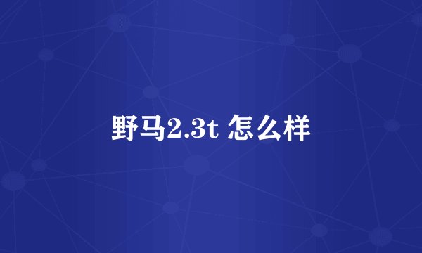 野马2.3t 怎么样