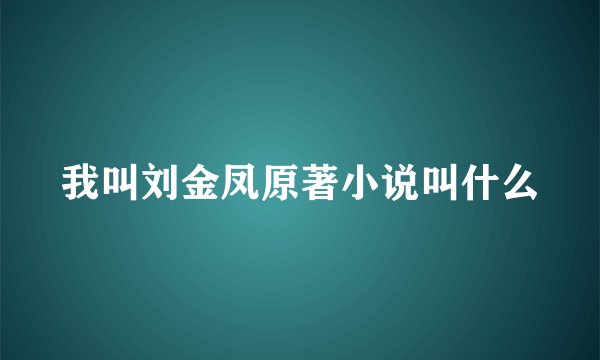 我叫刘金凤原著小说叫什么