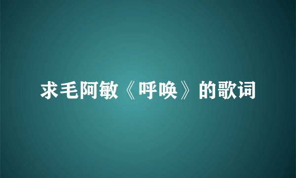 求毛阿敏《呼唤》的歌词