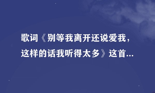 歌词《别等我离开还说爱我，这样的话我听得太多》这首歌的歌名叫什么
