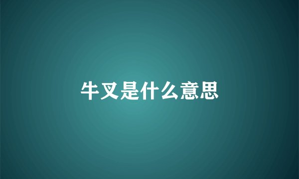 牛叉是什么意思