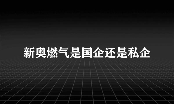 新奥燃气是国企还是私企