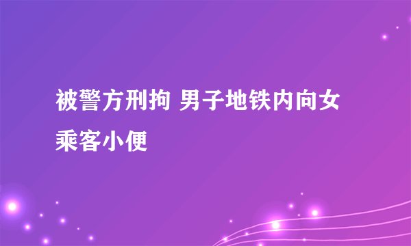 被警方刑拘 男子地铁内向女乘客小便