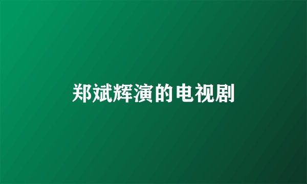 郑斌辉演的电视剧