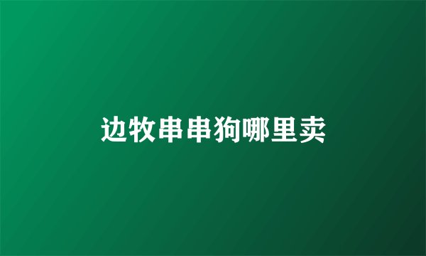 边牧串串狗哪里卖