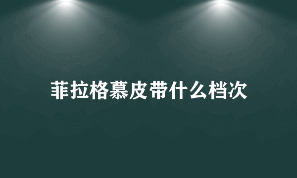菲拉格慕皮带什么档次