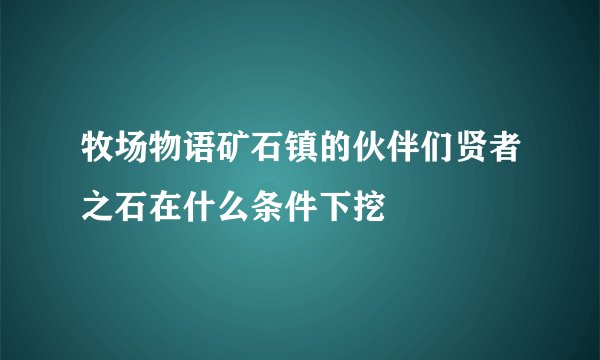 牧场物语矿石镇的伙伴们贤者之石在什么条件下挖