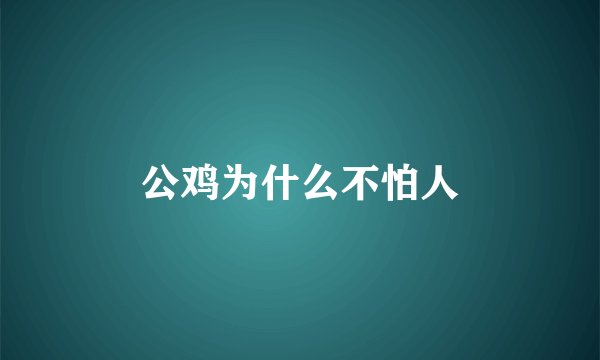 公鸡为什么不怕人