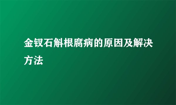 金钗石斛根腐病的原因及解决方法