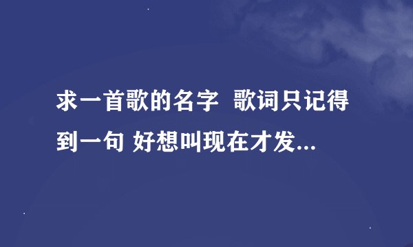 求一首歌的名字  歌词只记得到一句 好想叫现在才发现我的美后面一句好想是句英语吧