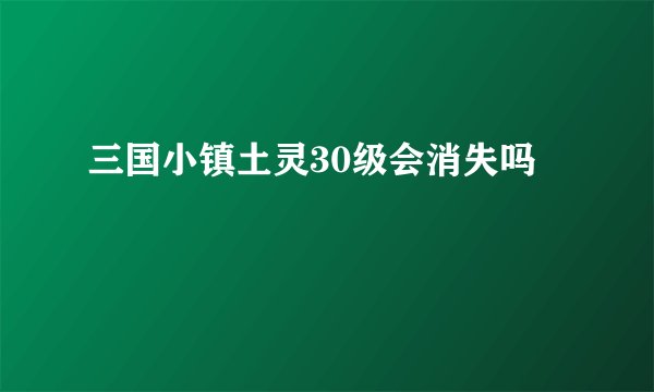 三国小镇土灵30级会消失吗