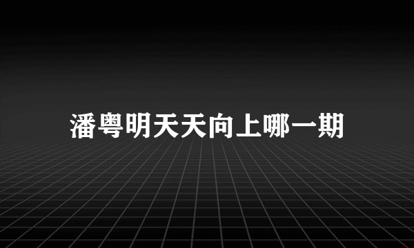 潘粤明天天向上哪一期