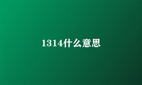 1314什么意思