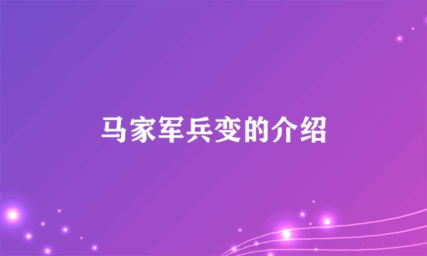 马家军兵变的介绍