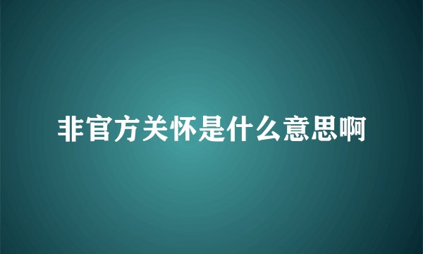 非官方关怀是什么意思啊