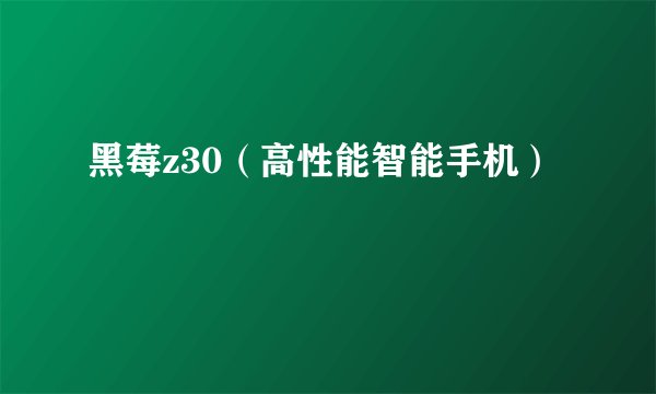 黑莓z30（高性能智能手机）