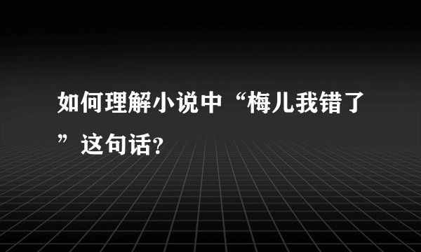 如何理解小说中“梅儿我错了”这句话？