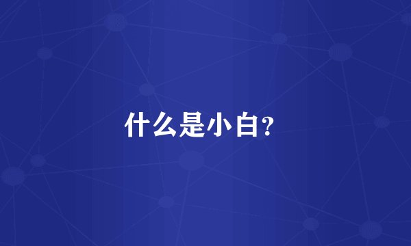 什么是小白？