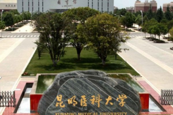 昆明医科大学2023年录取分数线