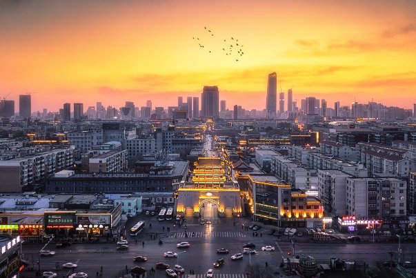 sy是什么缩写