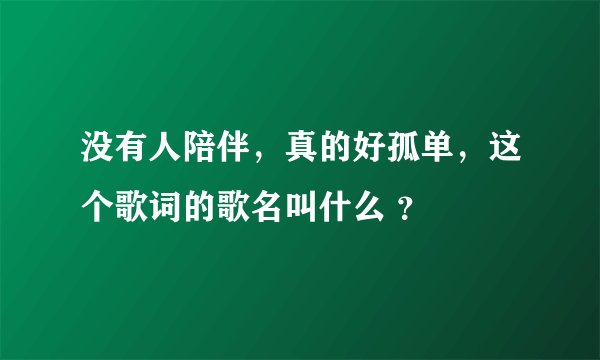 没有人陪伴，真的好孤单，这个歌词的歌名叫什么 ？