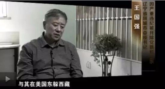 《人民的名义》中丁义珍的原型是谁？