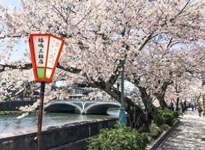 japan的意思