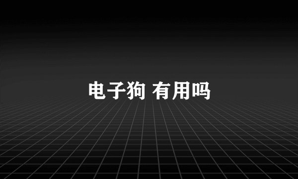 电子狗 有用吗
