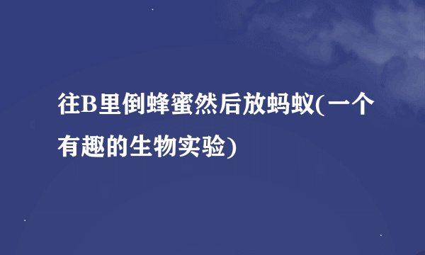 往B里倒蜂蜜然后放蚂蚁(一个有趣的生物实验)