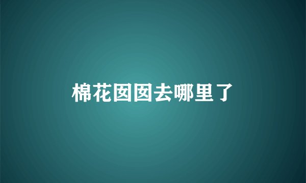 棉花囡囡去哪里了