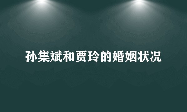孙集斌和贾玲的婚姻状况