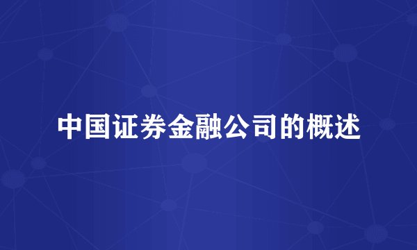 中国证券金融公司的概述