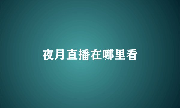 夜月直播在哪里看