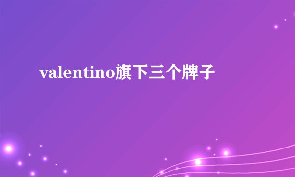 valentino旗下三个牌子