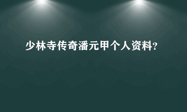 少林寺传奇潘元甲个人资料？