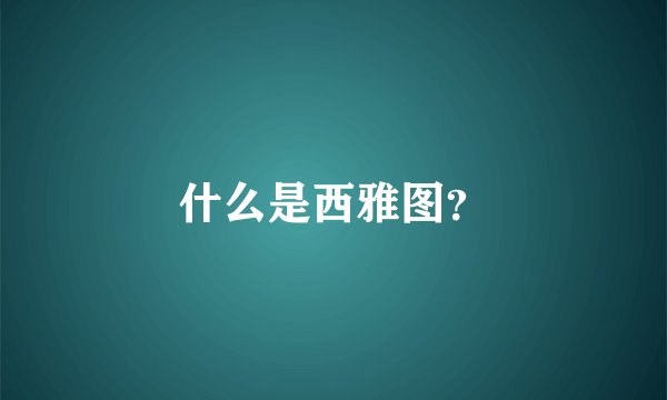 什么是西雅图？