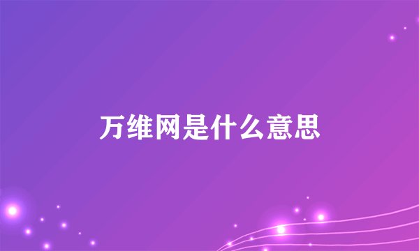 万维网是什么意思