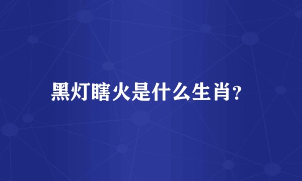 黑灯瞎火是什么生肖？