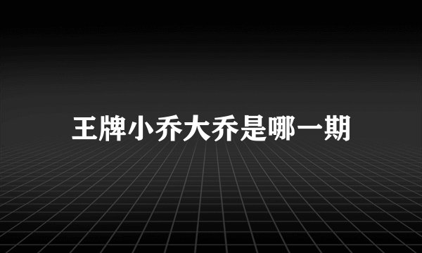 王牌小乔大乔是哪一期