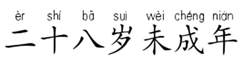 二十八岁未成年拼音？