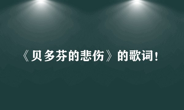 《贝多芬的悲伤》的歌词！