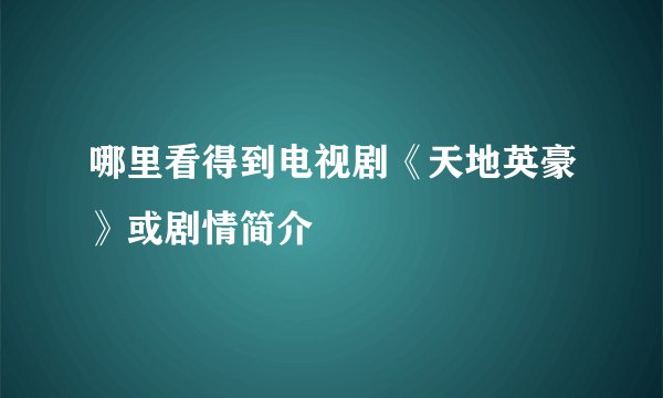哪里看得到电视剧《天地英豪》或剧情简介
