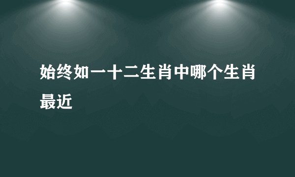 始终如一十二生肖中哪个生肖最近