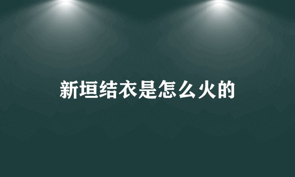 新垣结衣是怎么火的