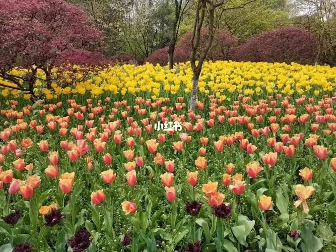 花香馥郁的意思