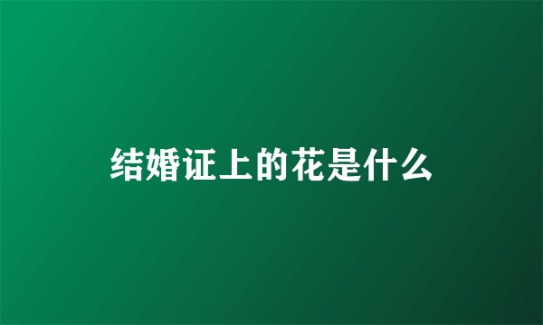 结婚证上的花是什么