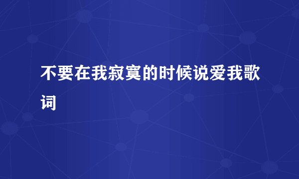 不要在我寂寞的时候说爱我歌词